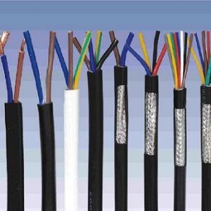 ������|����|���N��е�һ�N��ʲô�ǿ�����|��